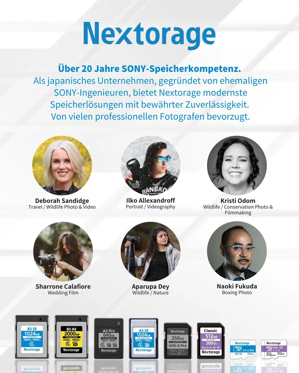 Nextorage SD Karte 256GB UHS-II SDXC, japanische speicherkarte datenspeicher SD Card, Kamera Zubehör für Nikon/Canon/Sony/Fujifilm/Nintendo Switch, F2PRO NX-F2PRO256G