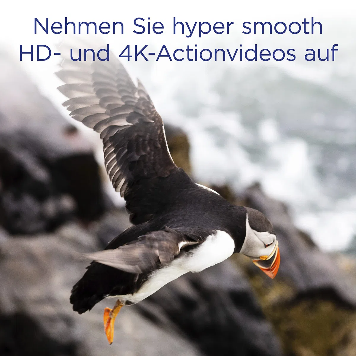Integral 64GB Compact Flash Karte UDMA-7 1066x Speed VPG-65 160MB/s Lesen und 135MB/s Beschreiben Professionelle High Speed Speicherkarte