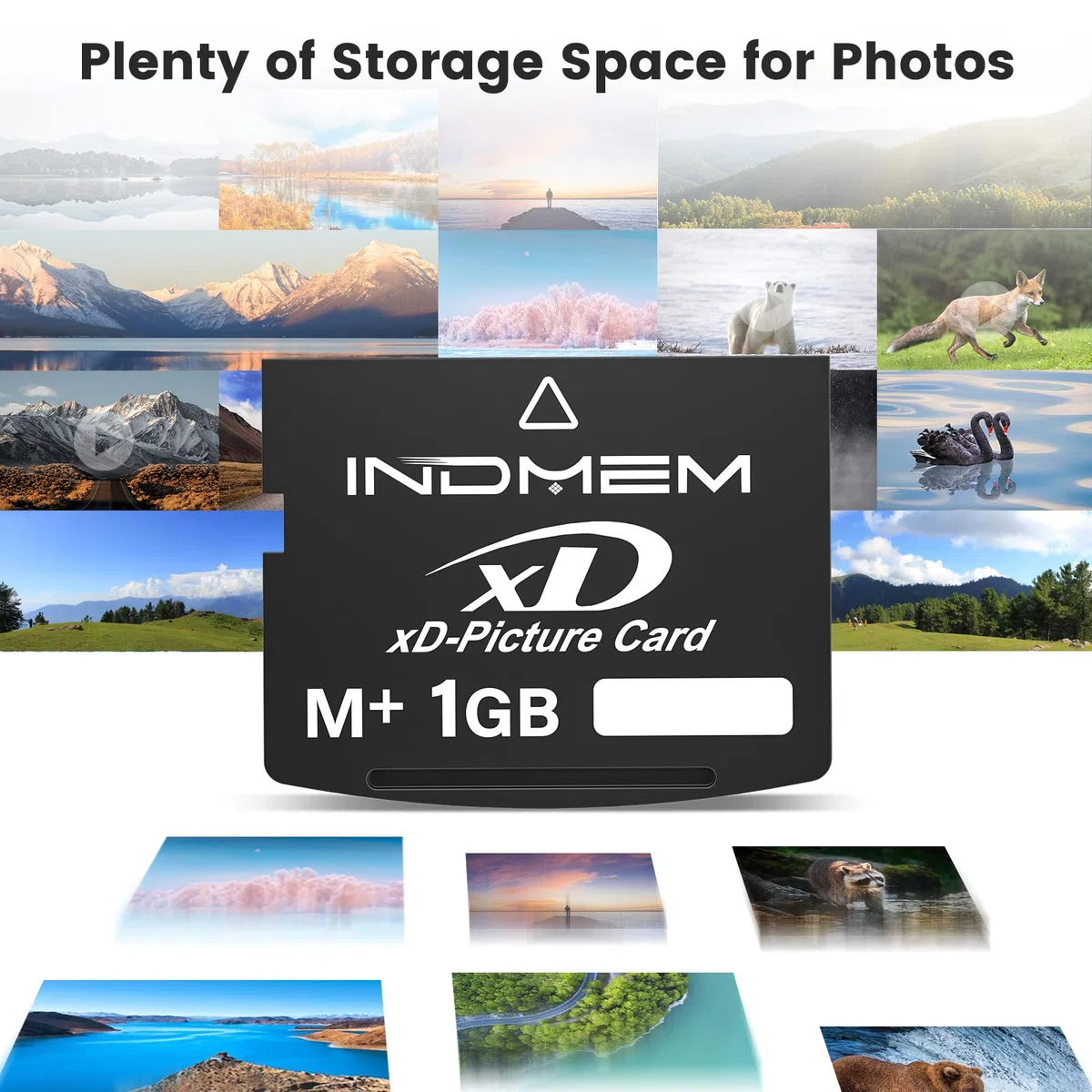 xD-Picture Card 1GB Type M+ xD Memory Card for Olympus Fuji Fujifilm Digital Camera