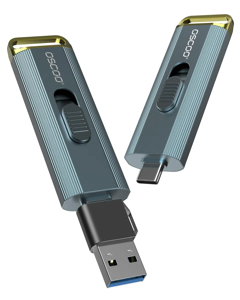 1TB Externe Festplatte Bis zu 2100MB/s USB 3.2 Gen2x2 Dual Interface Externe tragbare USB SSD Memory Stick für Android/Phone/Tablet/Windows/Laptop